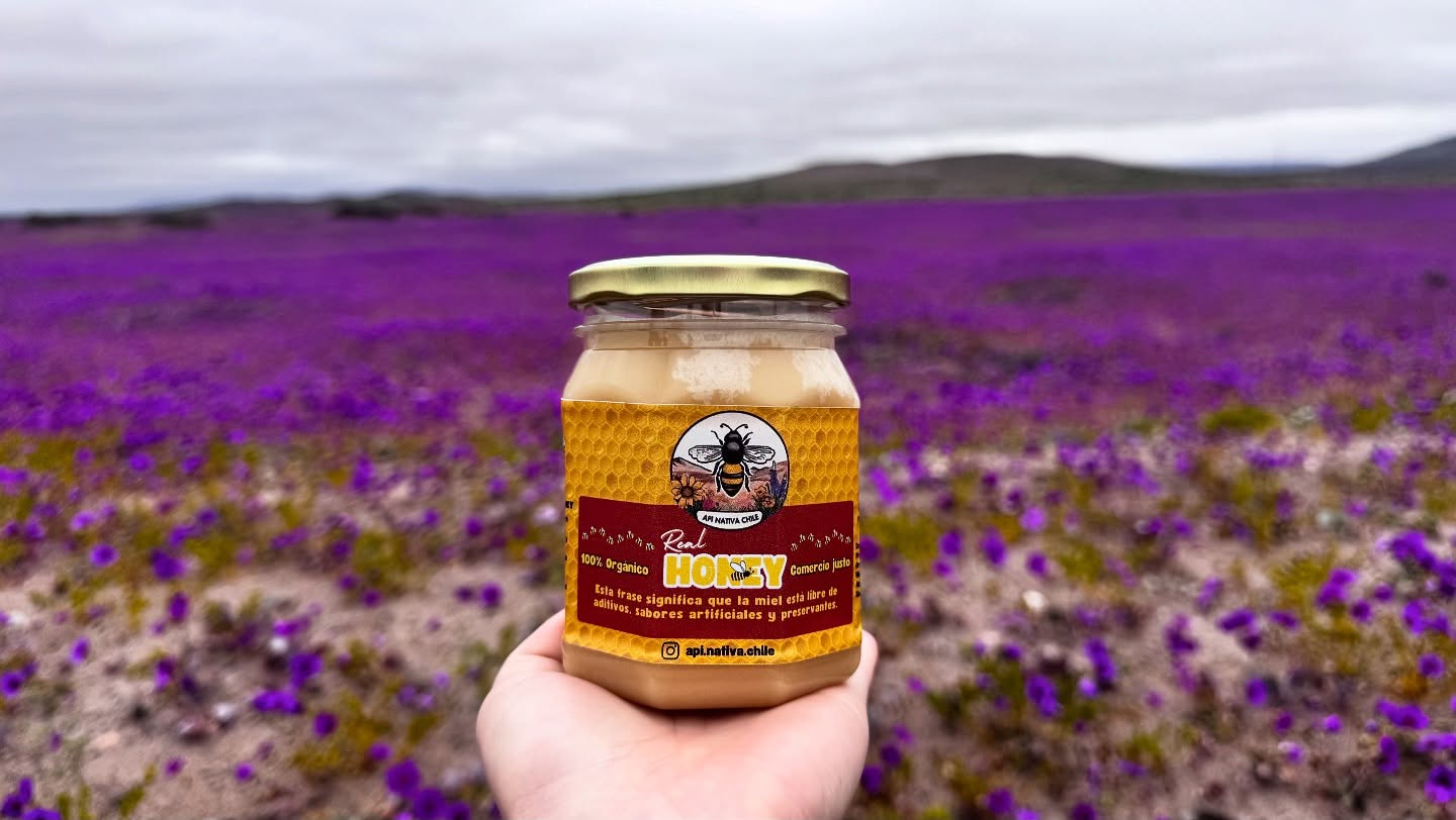 Foto de la comunidad 3